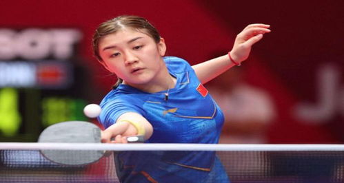 手启动之前 手启动之前