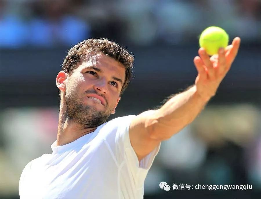 岭速度都充 岭速度都充